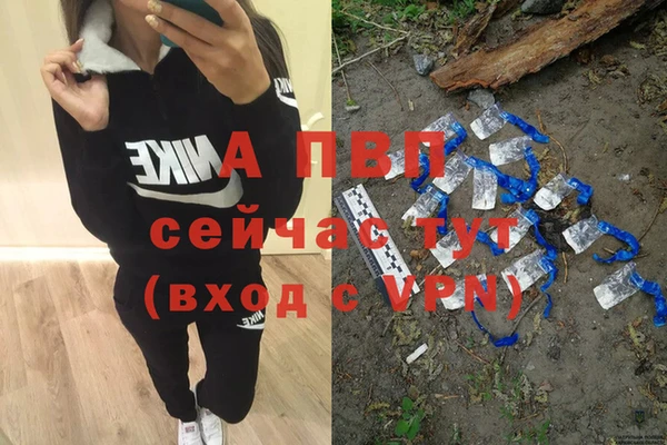 тгк Богданович